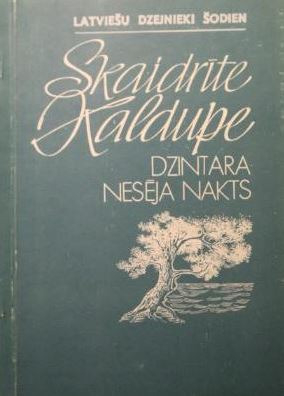 Dzintara nesēja nakts